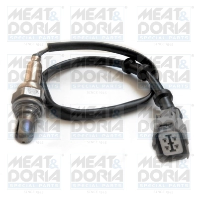 Oxygen Sensor